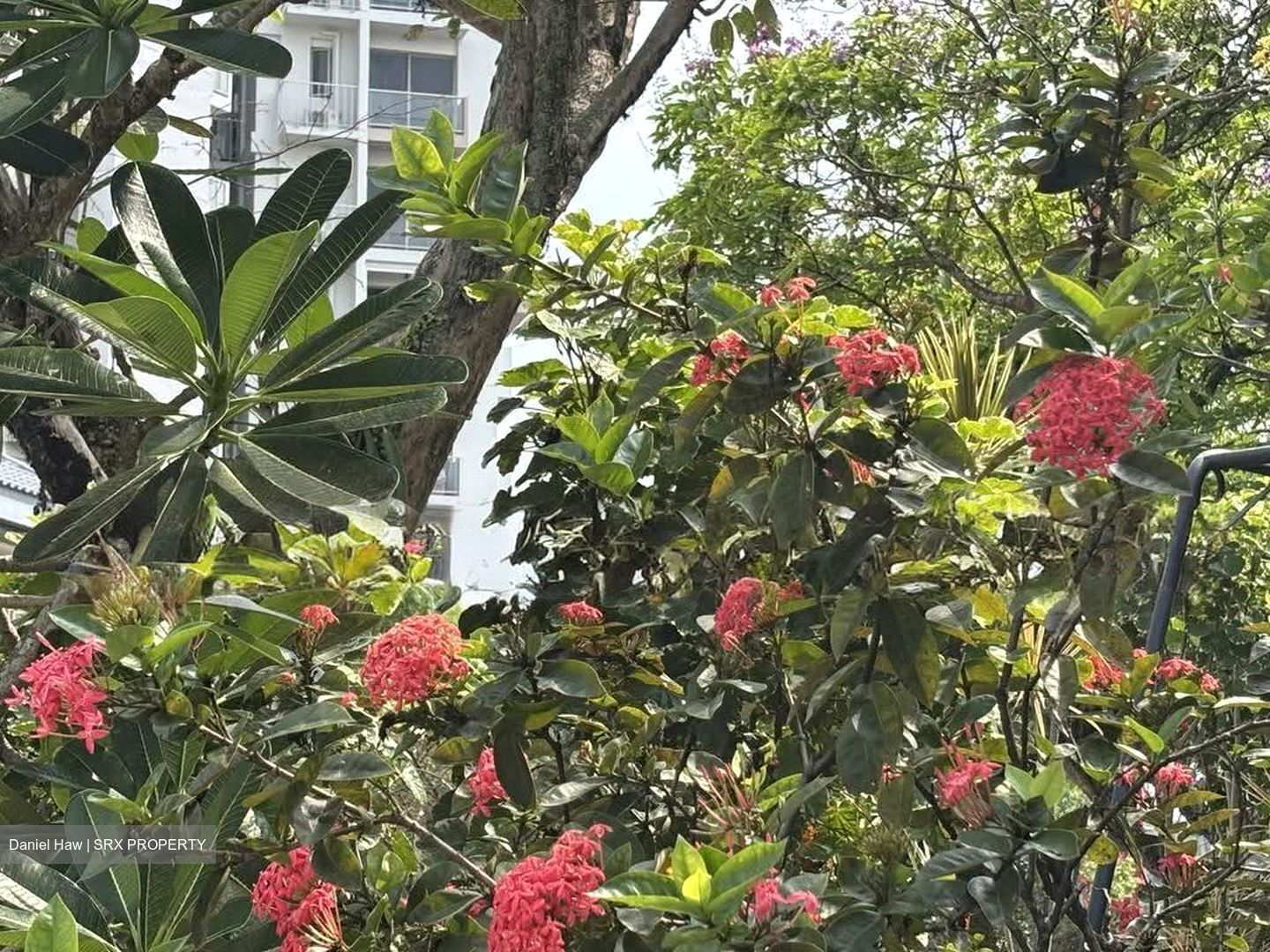 Ban Guan Park (D10), Semi-Detached #630552111